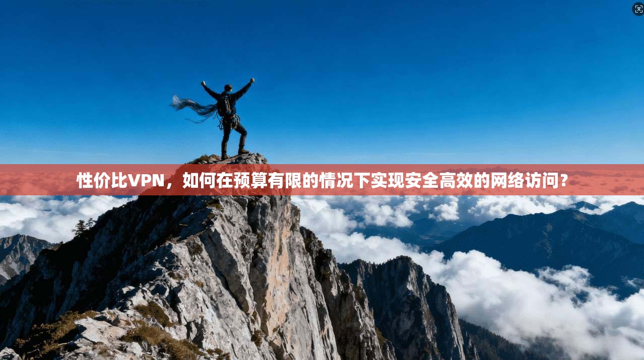 性价比VPN，如何在预算有限的情况下实现安全高效的网络访问？