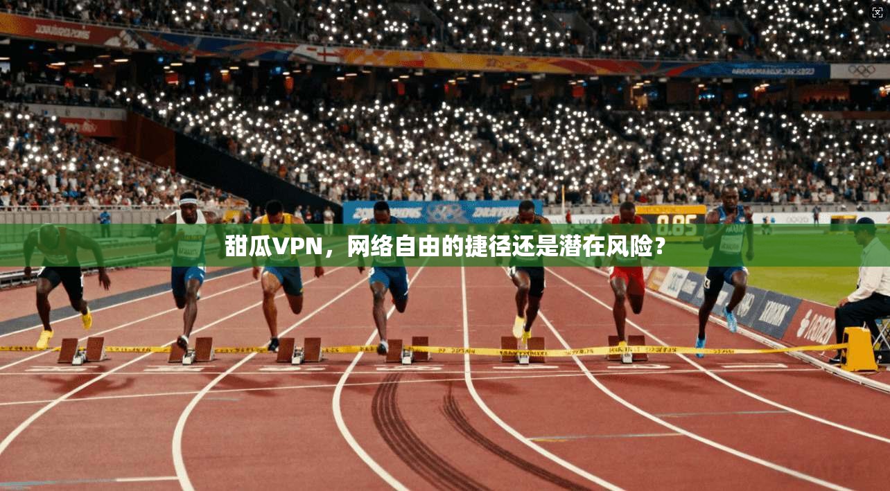 甜瓜VPN，网络自由的捷径还是潜在风险？