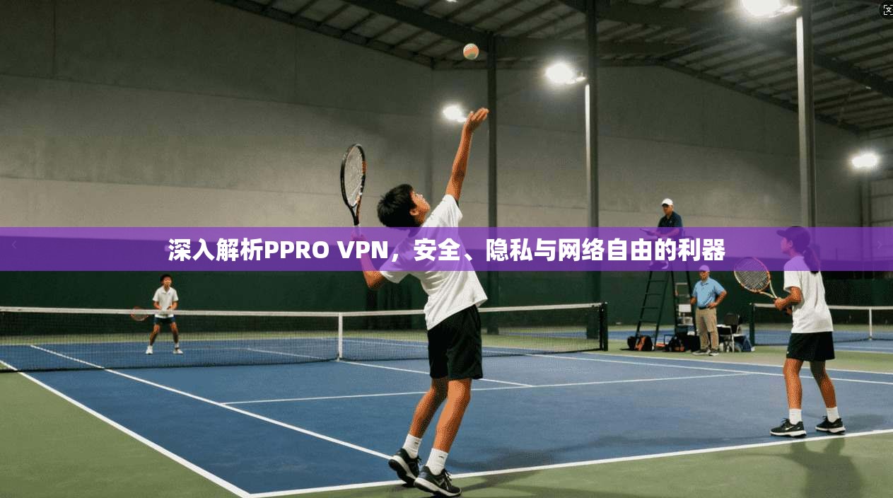 深入解析PPRO VPN，安全、隐私与网络自由的利器