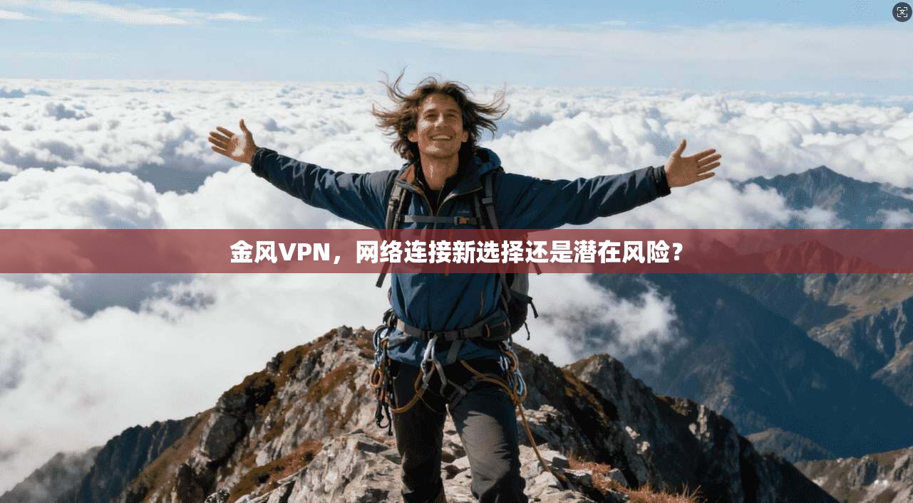 金风VPN，网络连接新选择还是潜在风险？