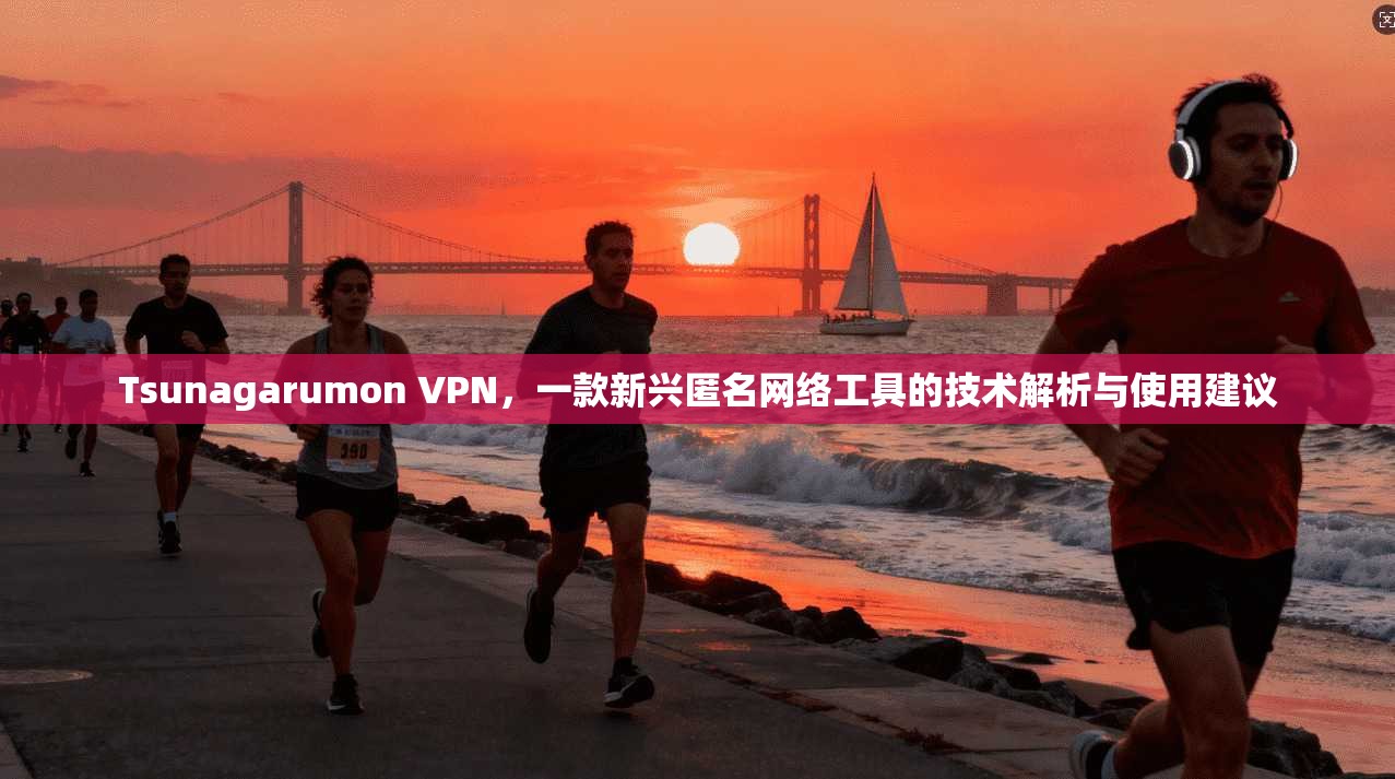 Tsunagarumon VPN，一款新兴匿名网络工具的技术解析与使用建议