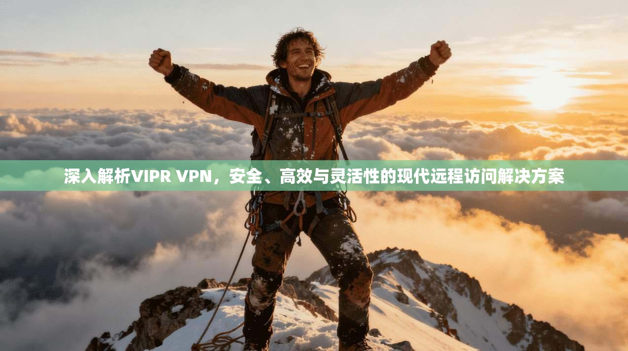 深入解析VIPR VPN，安全、高效与灵活性的现代远程访问解决方案
