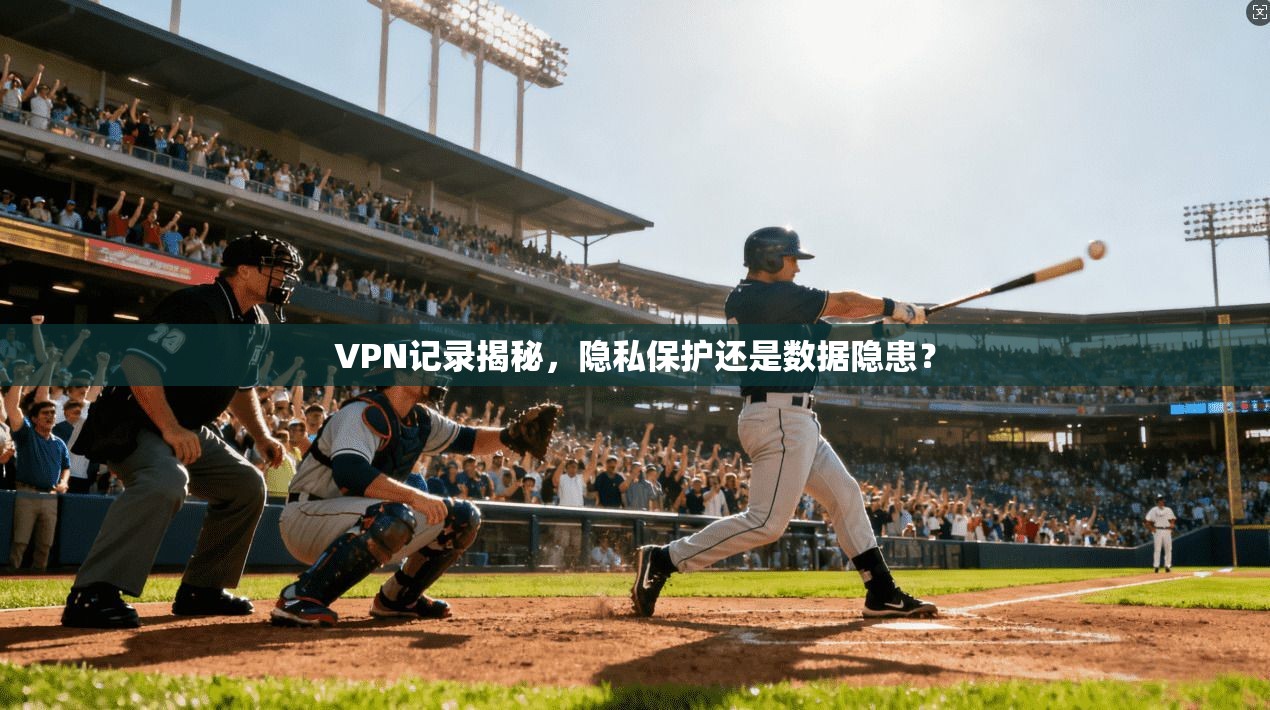 VPN记录揭秘，隐私保护还是数据隐患？