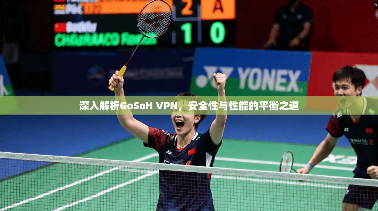 深入解析GoSoH VPN，安全性与性能的平衡之道