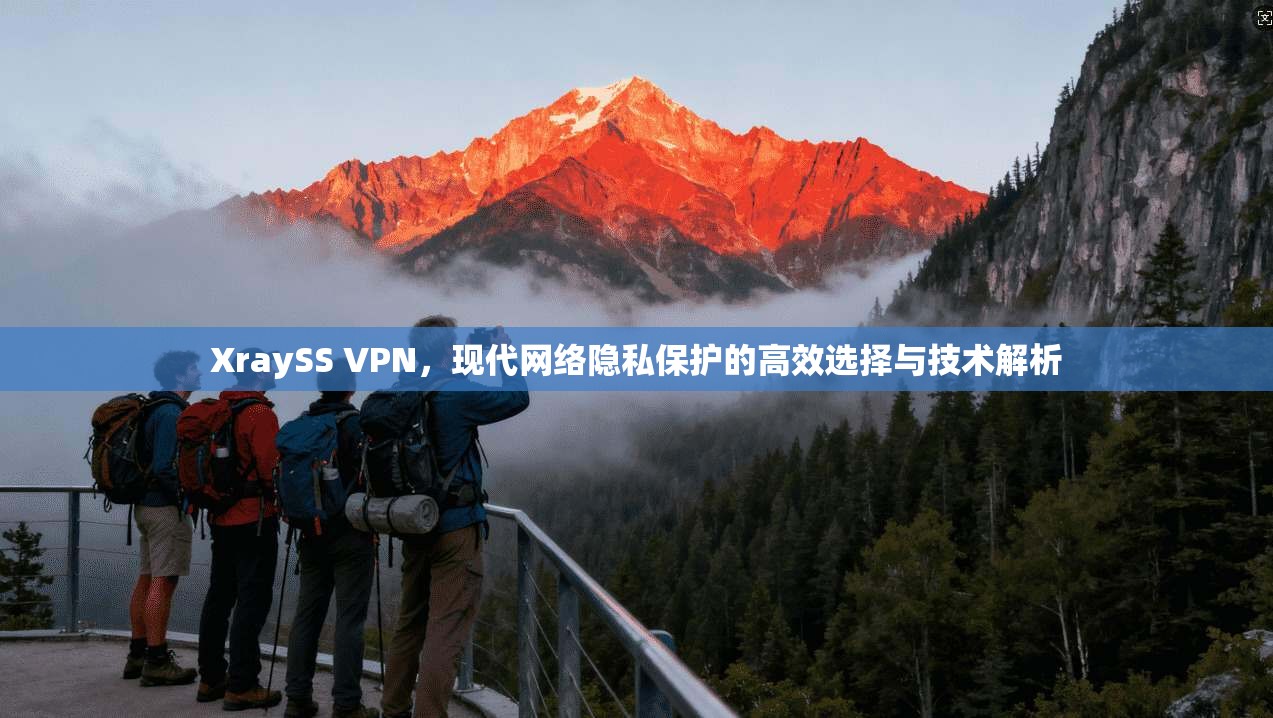 XraySS VPN，现代网络隐私保护的高效选择与技术解析