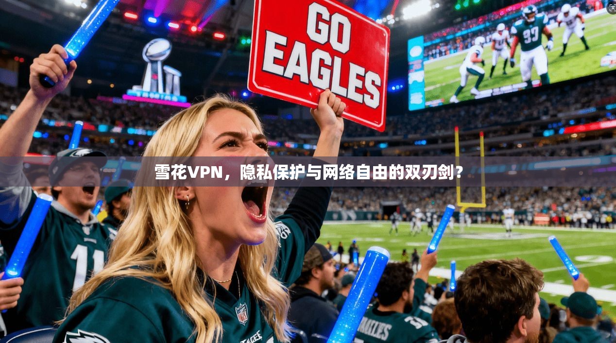 雪花VPN，隐私保护与网络自由的双刃剑？
