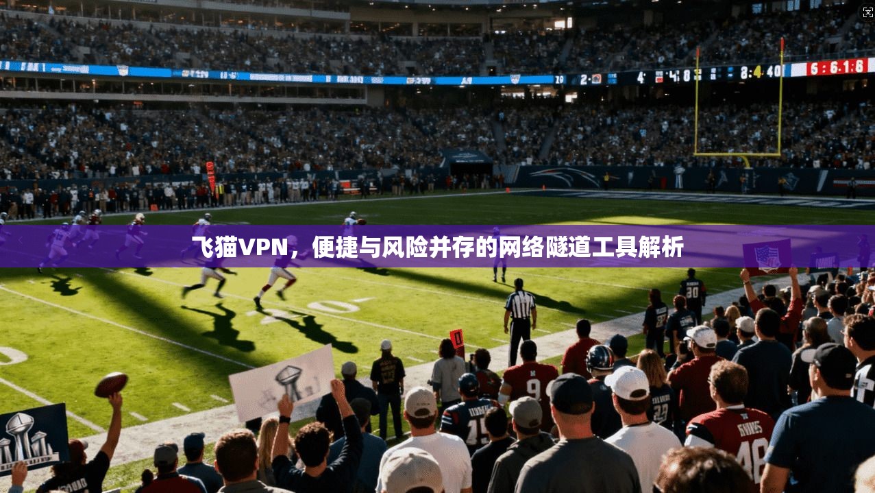 飞猫VPN，便捷与风险并存的网络隧道工具解析