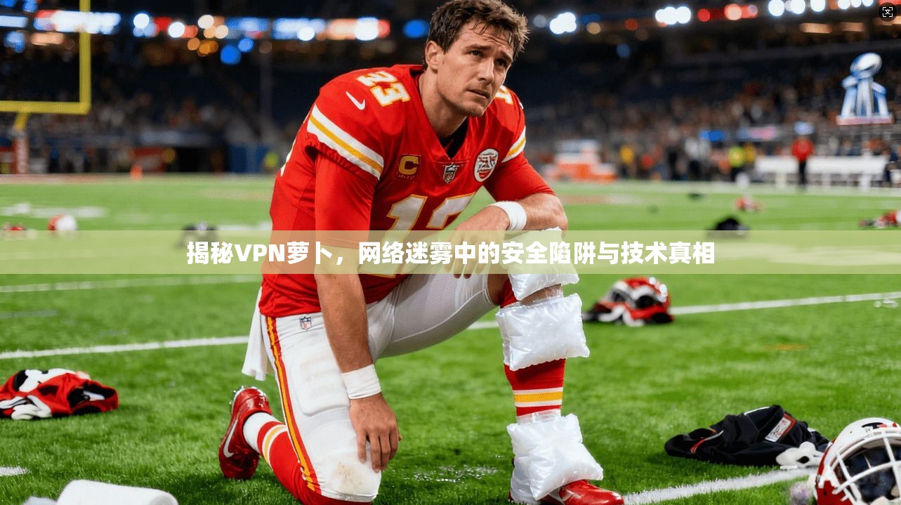 揭秘VPN萝卜，网络迷雾中的安全陷阱与技术真相