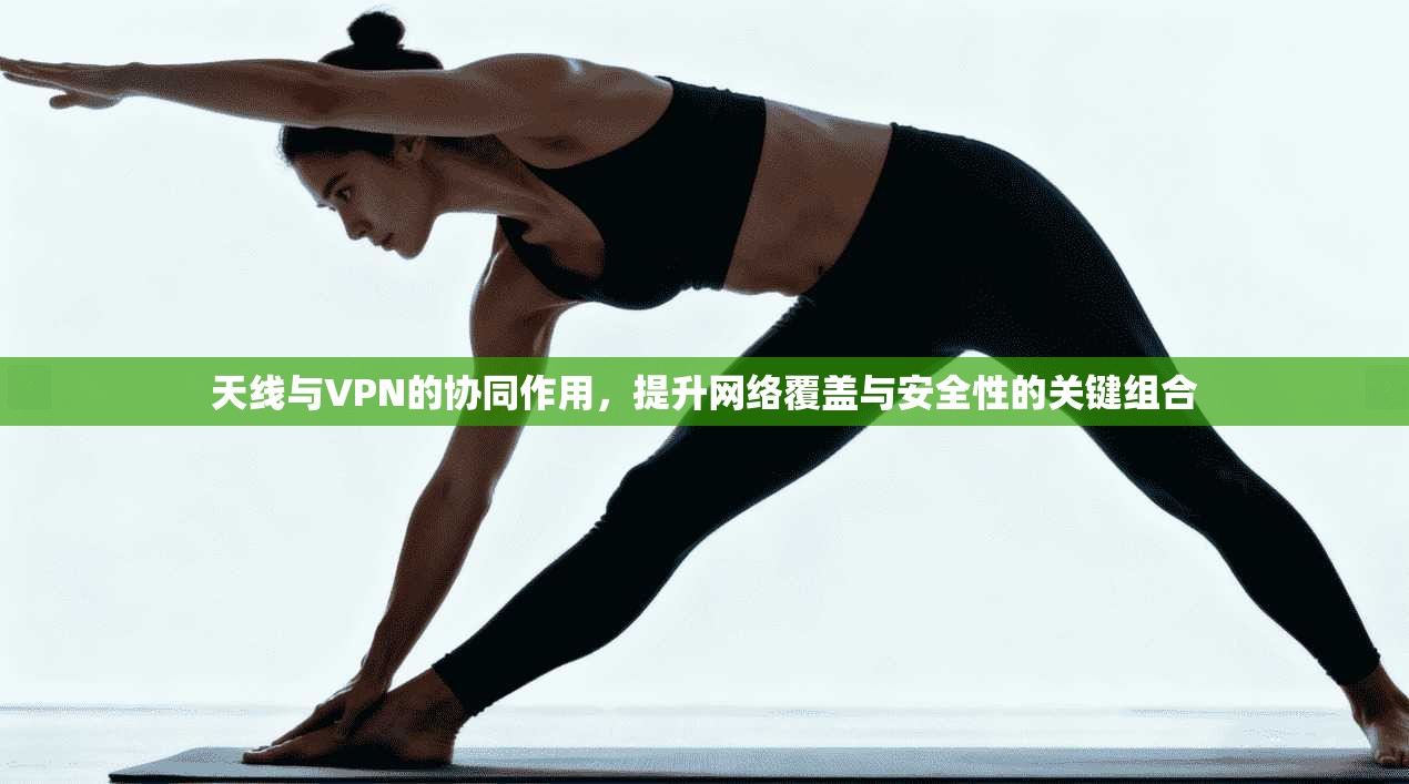 天线与VPN的协同作用，提升网络覆盖与安全性的关键组合