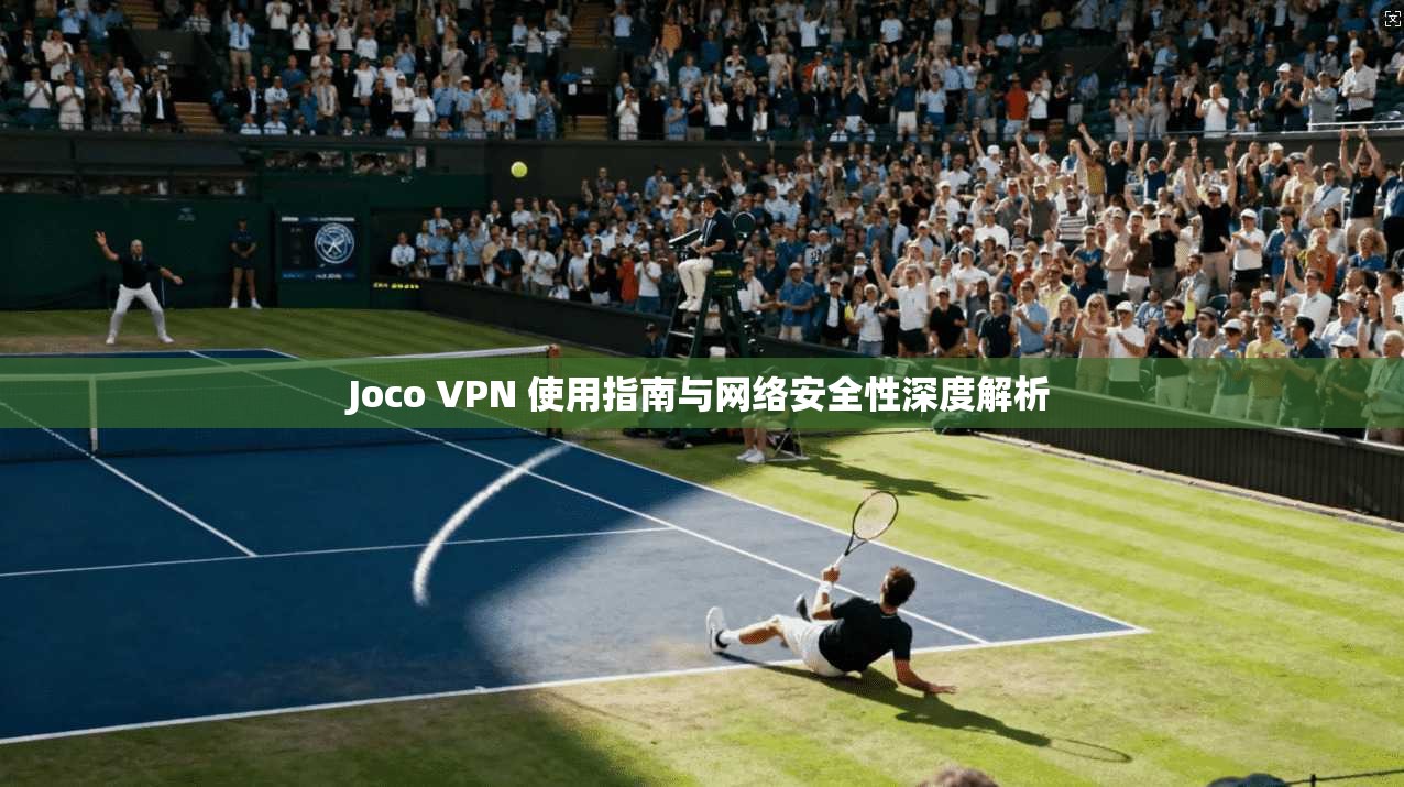 Joco VPN 使用指南与网络安全性深度解析