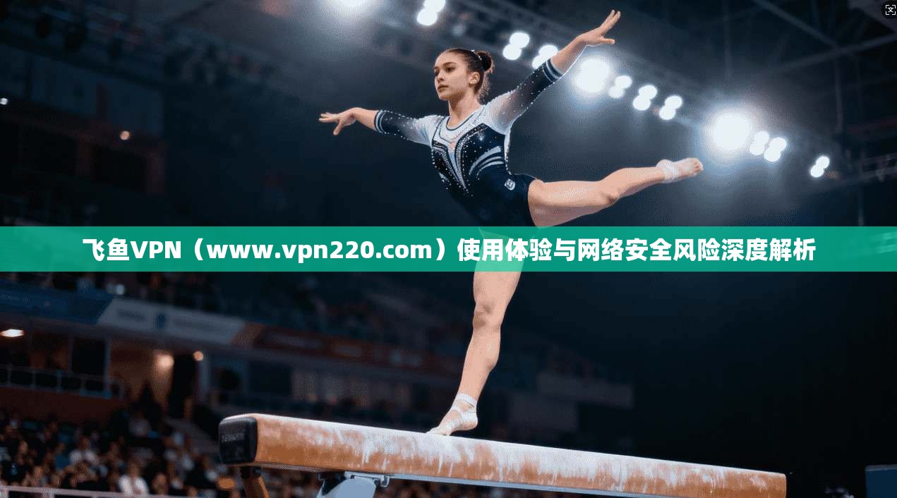 飞鱼VPN（www.vpn220.com）使用体验与网络安全风险深度解析