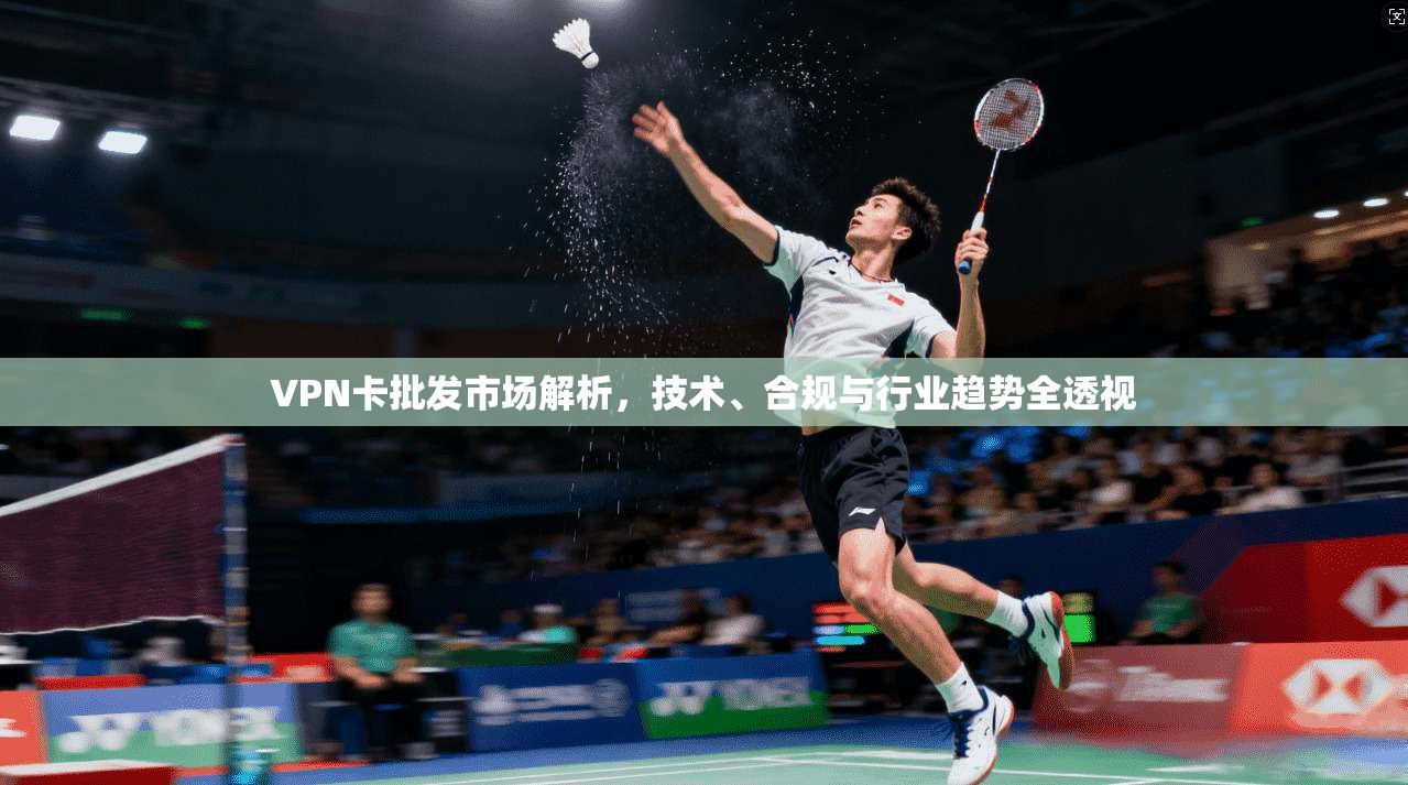 VPN卡批发市场解析，技术、合规与行业趋势全透视