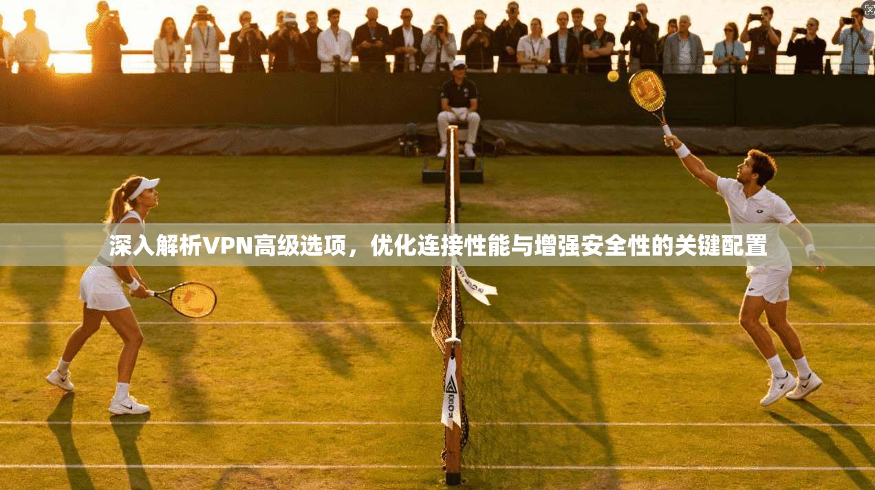 深入解析VPN高级选项，优化连接性能与增强安全性的关键配置
