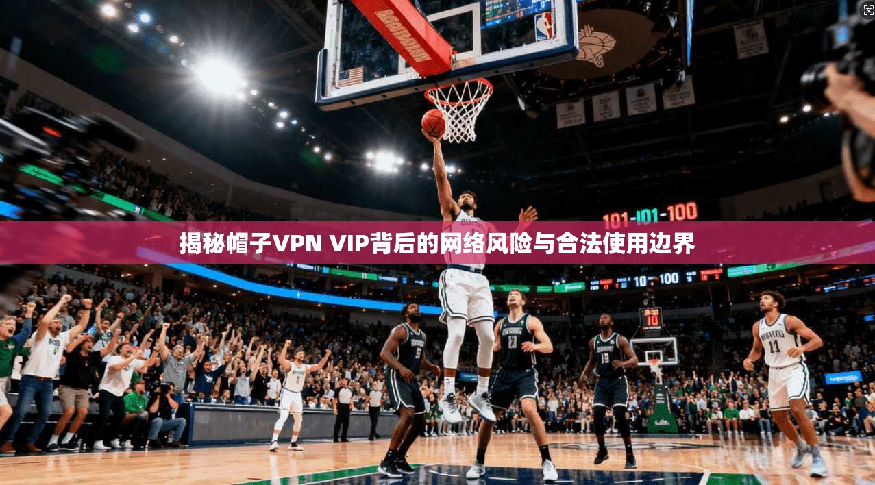 揭秘帽子VPN VIP背后的网络风险与合法使用边界
