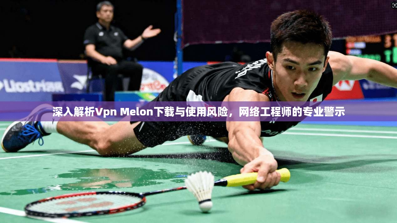 深入解析Vpn Melon下载与使用风险，网络工程师的专业警示