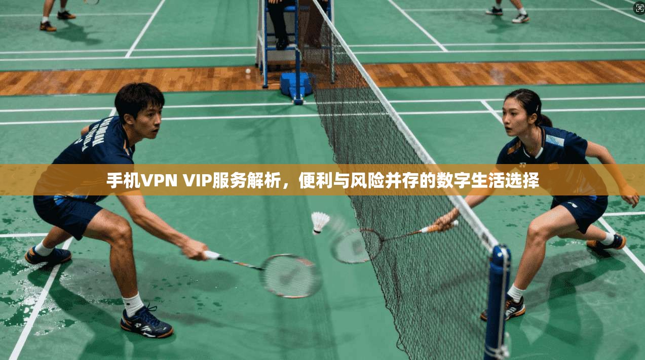 手机VPN VIP服务解析，便利与风险并存的数字生活选择