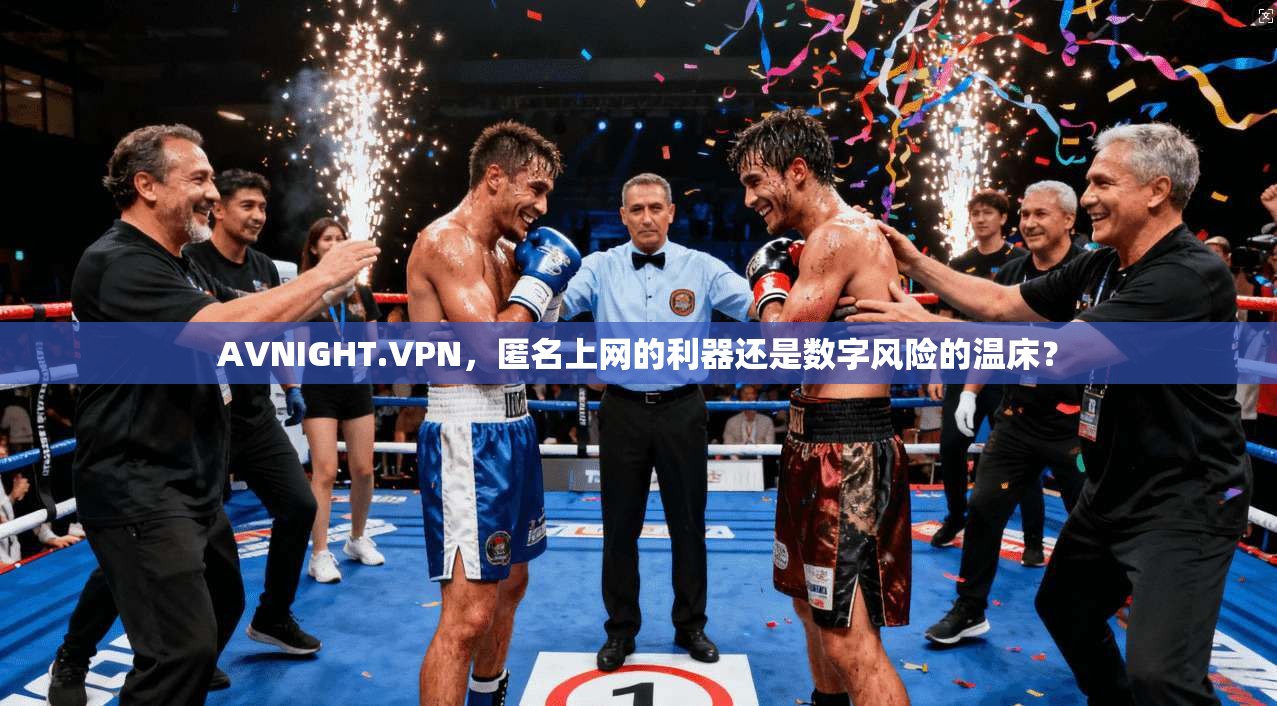 AVNIGHT.VPN，匿名上网的利器还是数字风险的温床？