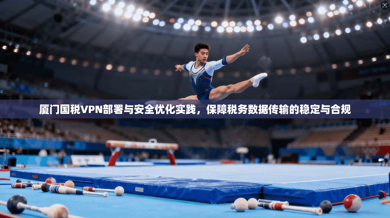 厦门国税VPN部署与安全优化实践，保障税务数据传输的稳定与合规
