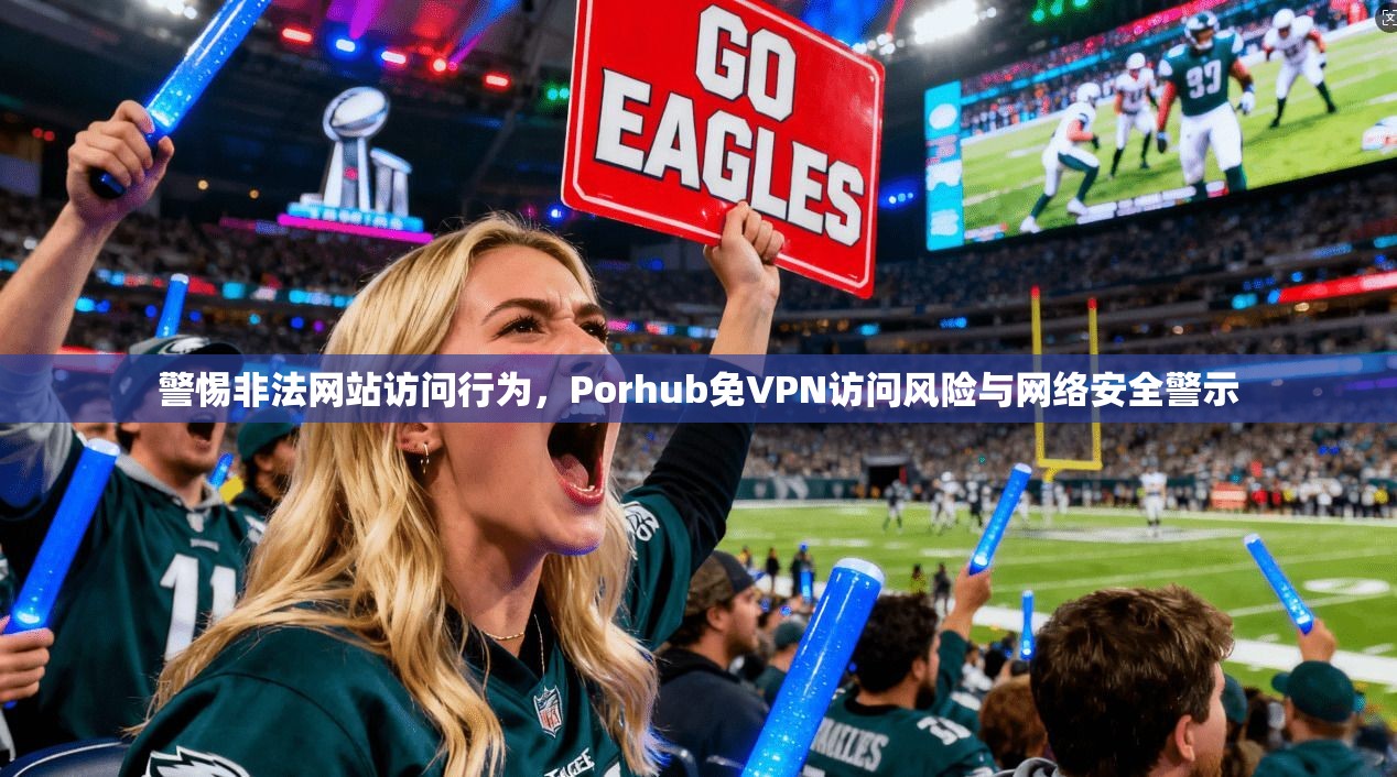 警惕非法网站访问行为，Porhub免VPN访问风险与网络安全警示