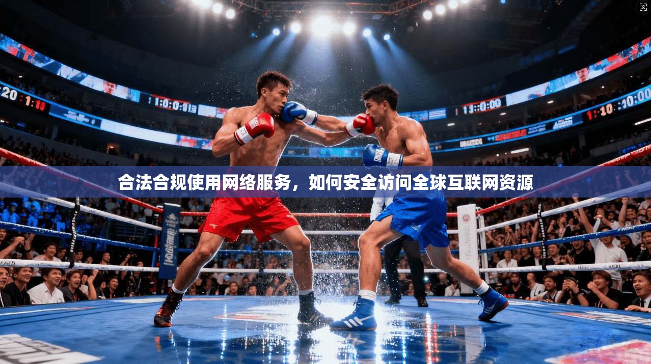 合法合规使用网络服务，如何安全访问全球互联网资源