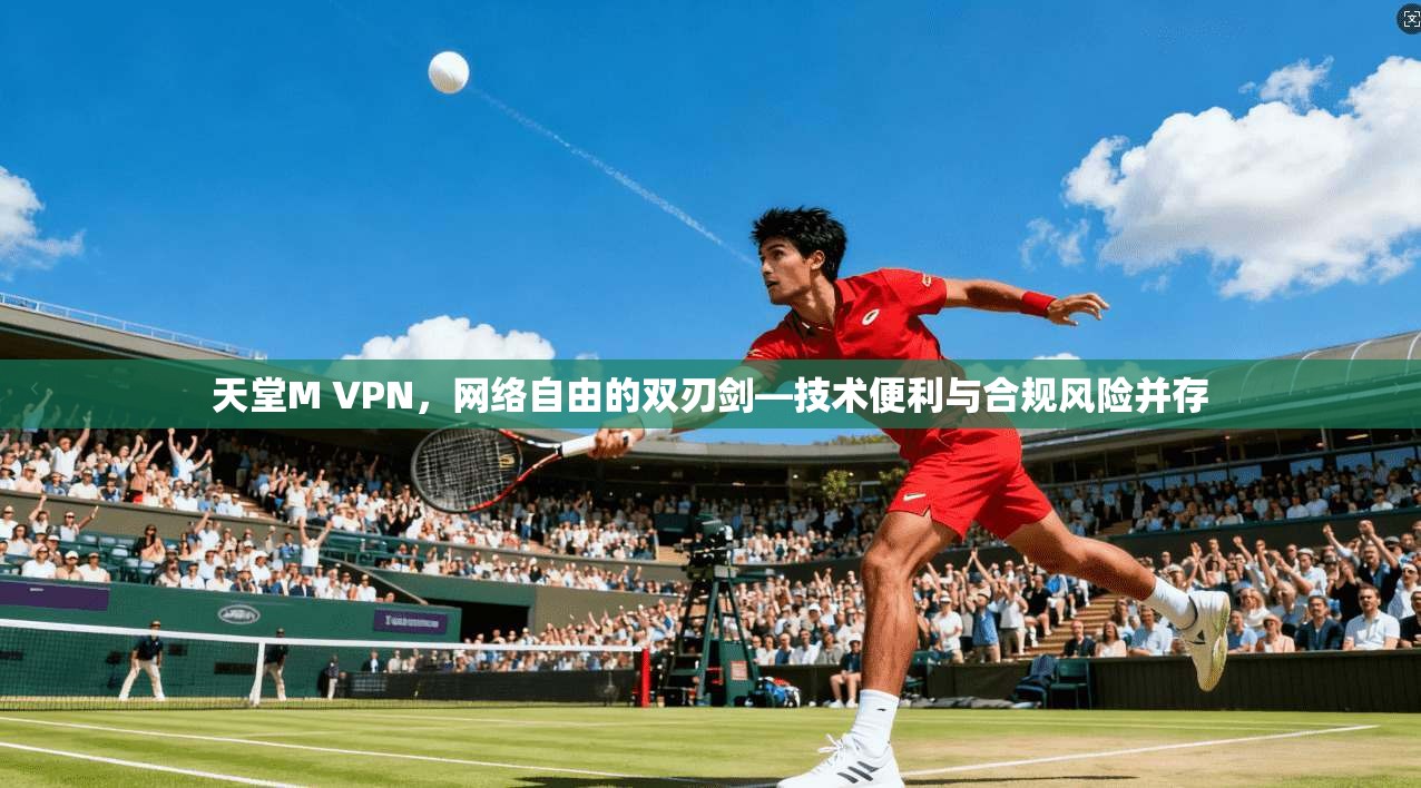 天堂M VPN，网络自由的双刃剑—技术便利与合规风险并存