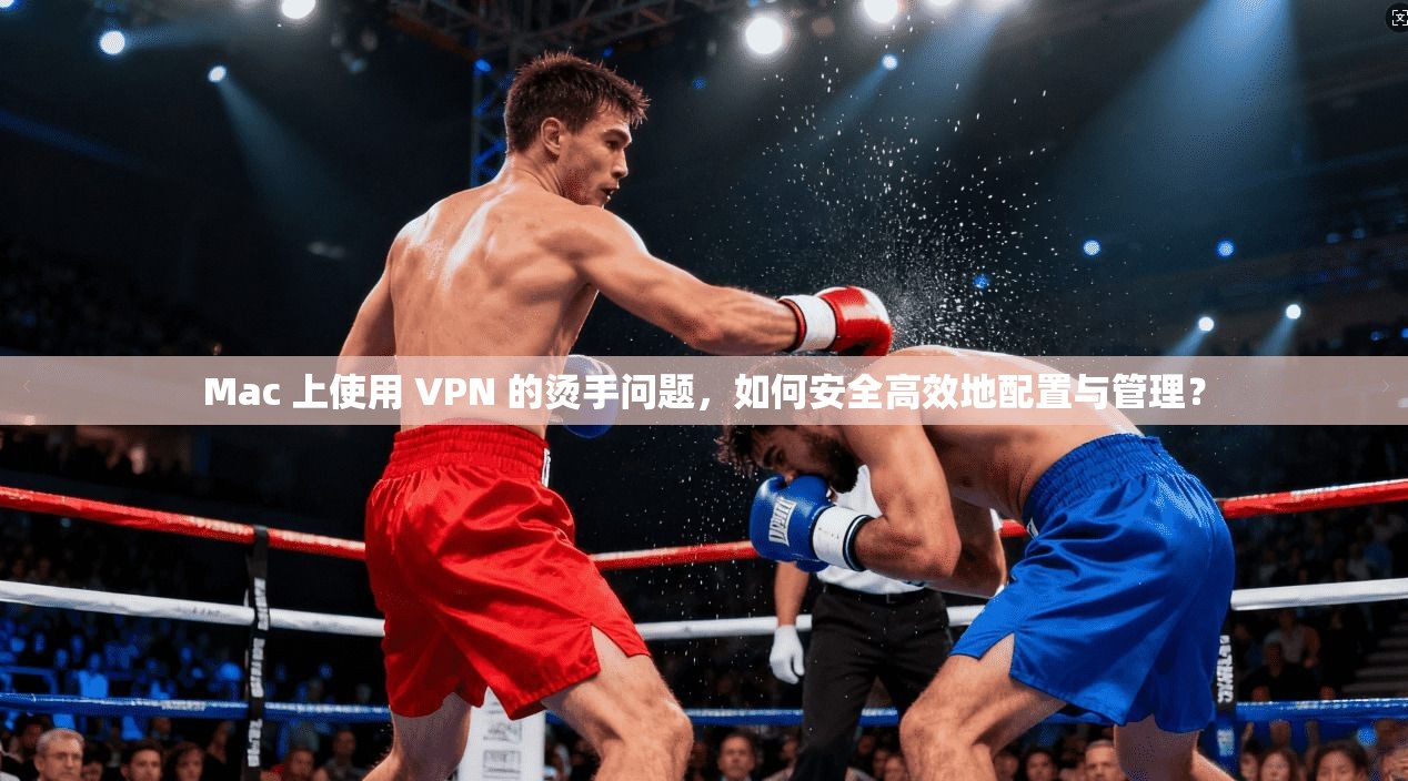 Mac 上使用 VPN 的烫手问题，如何安全高效地配置与管理？