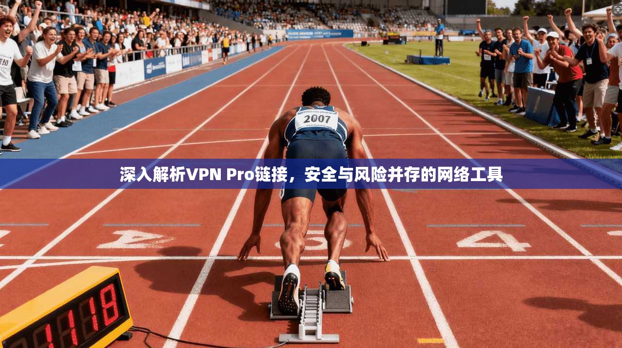 深入解析VPN Pro链接，安全与风险并存的网络工具
