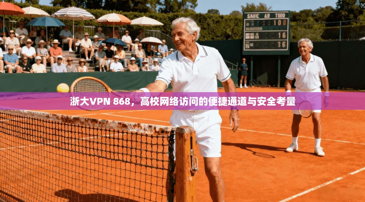 浙大VPN 868，高校网络访问的便捷通道与安全考量