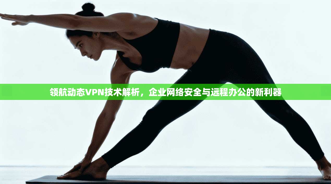 领航动态VPN技术解析，企业网络安全与远程办公的新利器