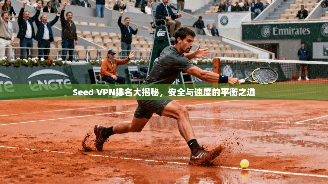 Seed VPN排名大揭秘，安全与速度的平衡之道