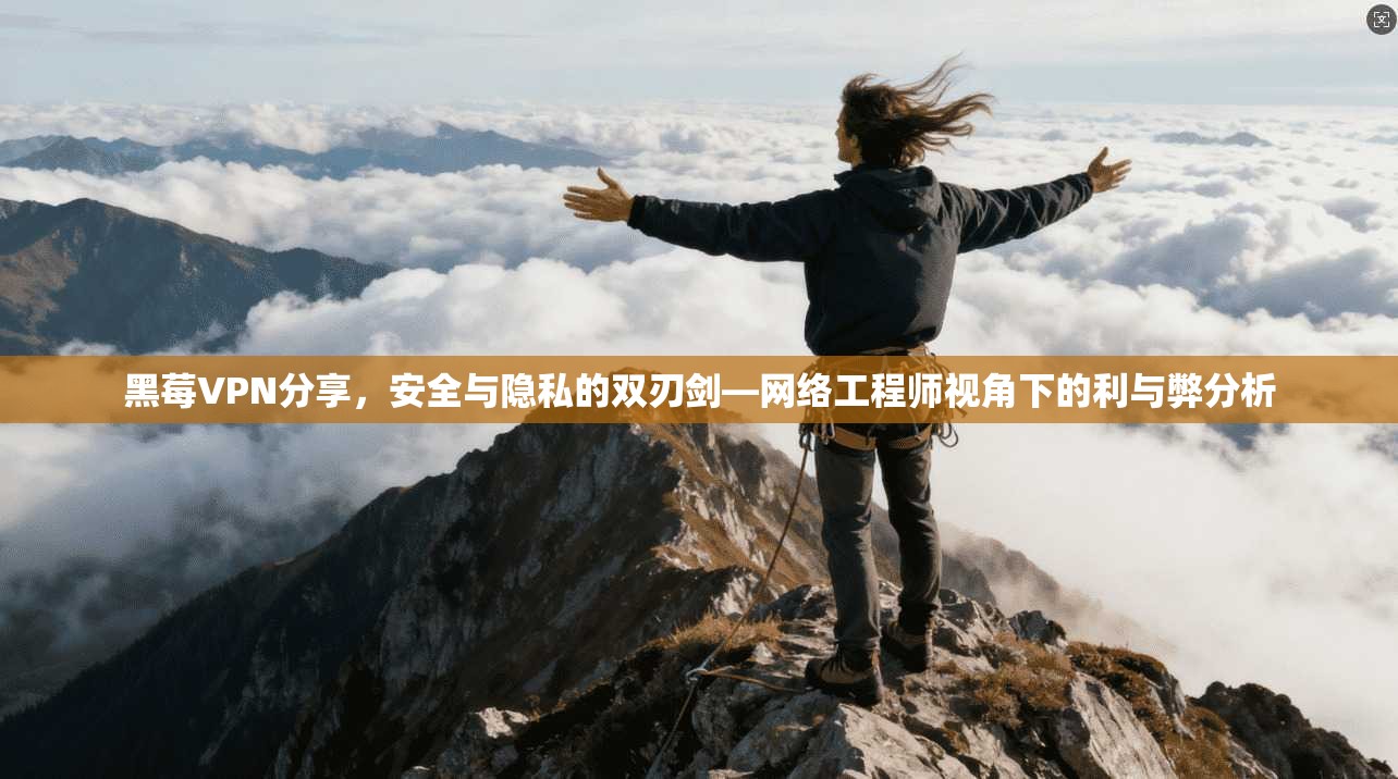 黑莓VPN分享，安全与隐私的双刃剑—网络工程师视角下的利与弊分析
