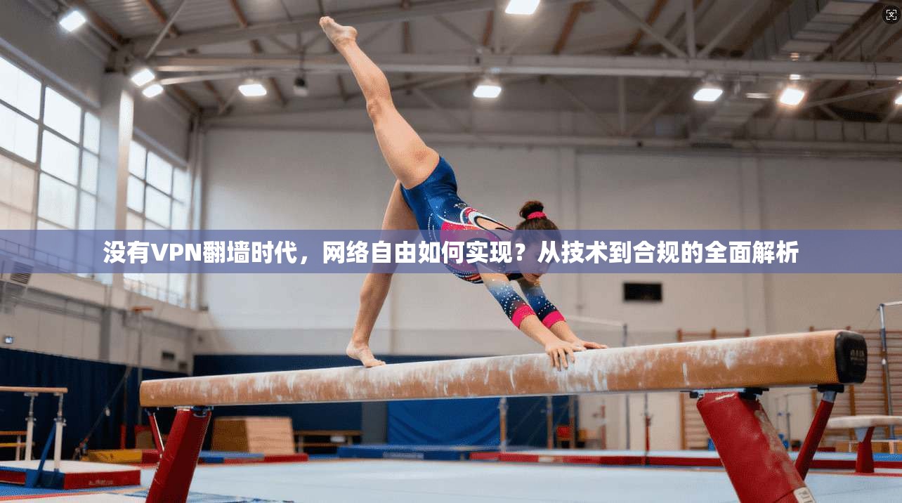 没有VPN翻墙时代，网络自由如何实现？从技术到合规的全面解析