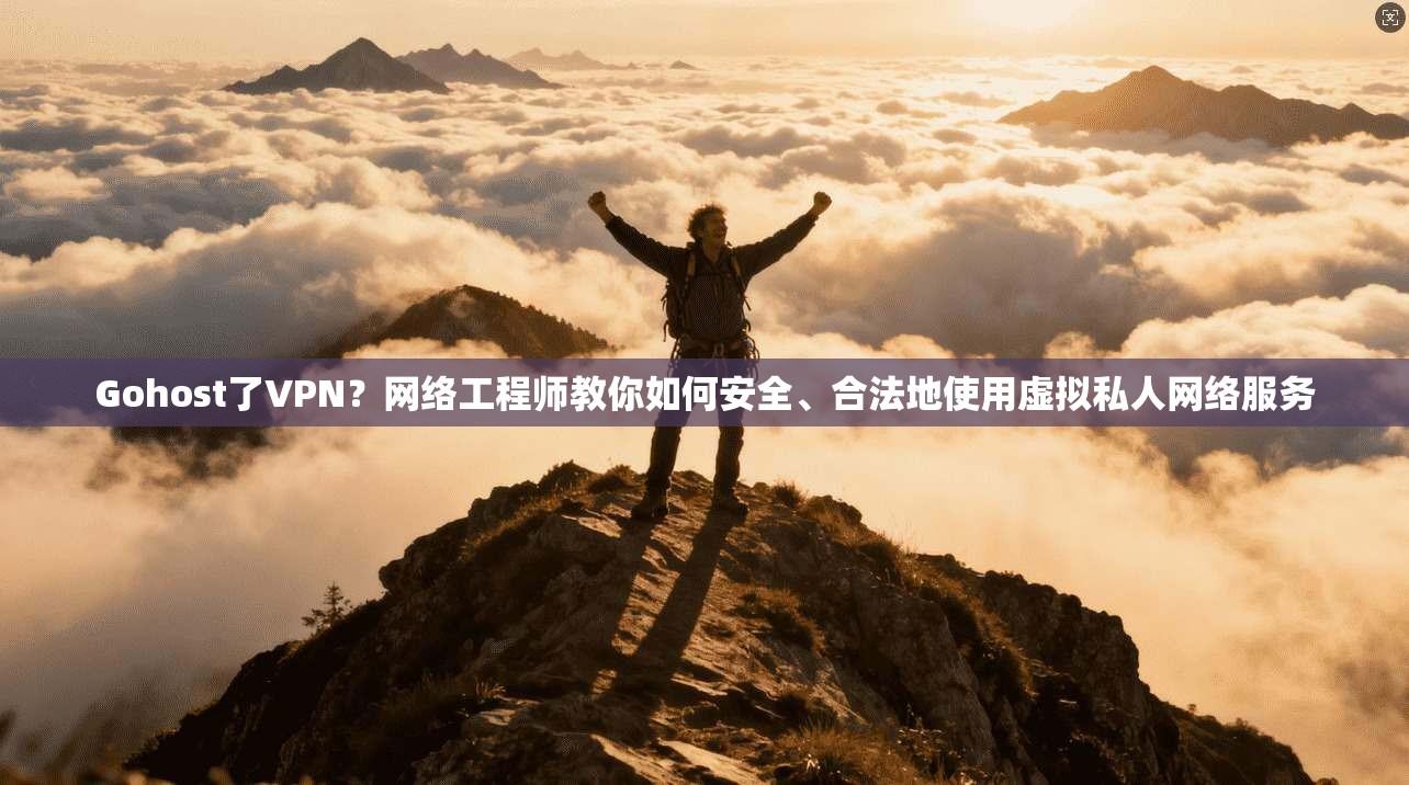Gohost了VPN？网络工程师教你如何安全、合法地使用虚拟私人网络服务