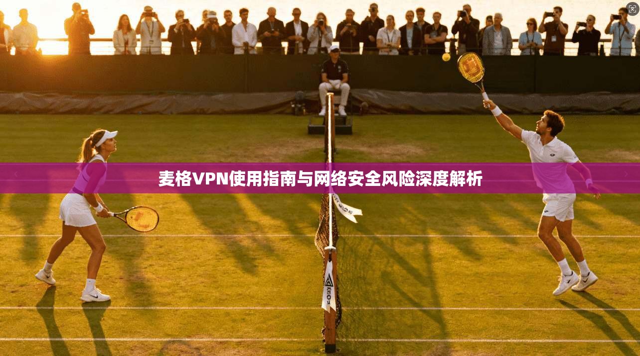 麦格VPN使用指南与网络安全风险深度解析