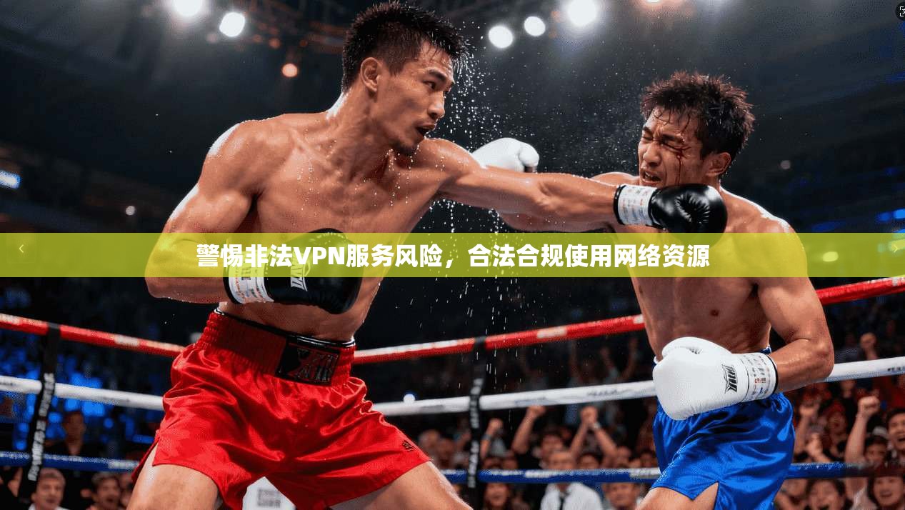 警惕非法VPN服务风险，合法合规使用网络资源
