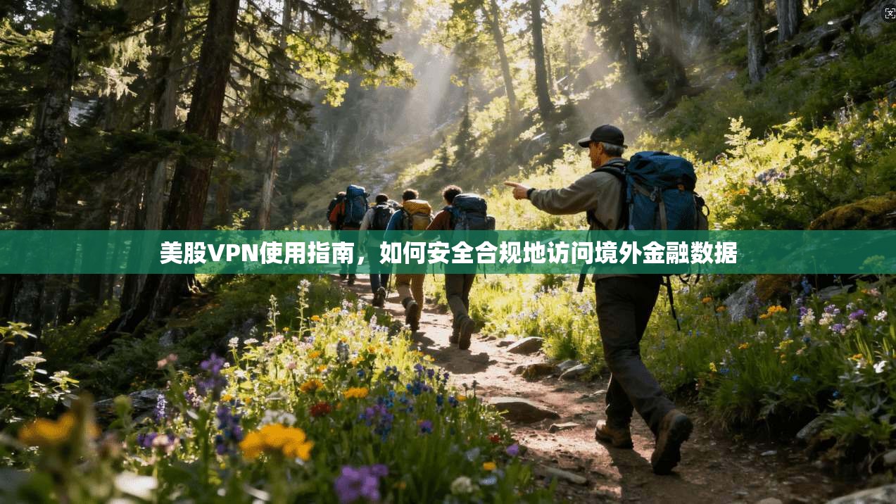 美股VPN使用指南，如何安全合规地访问境外金融数据