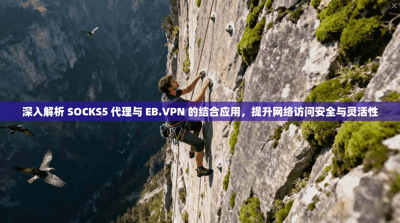 深入解析 SOCKS5 代理与 EB.VPN 的结合应用，提升网络访问安全与灵活性