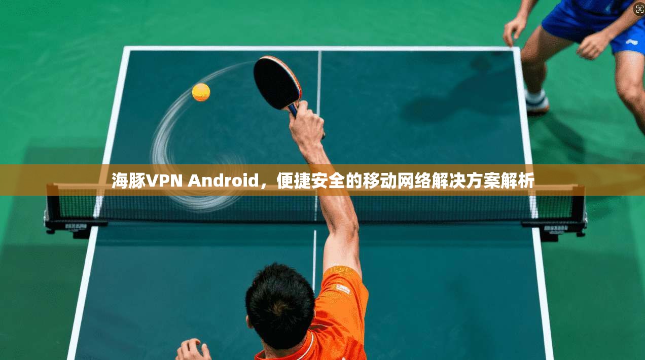海豚VPN Android，便捷安全的移动网络解决方案解析