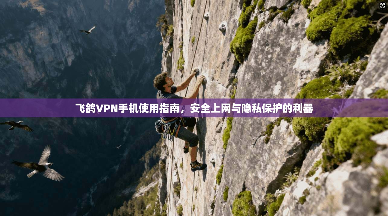 飞鸽VPN手机使用指南，安全上网与隐私保护的利器