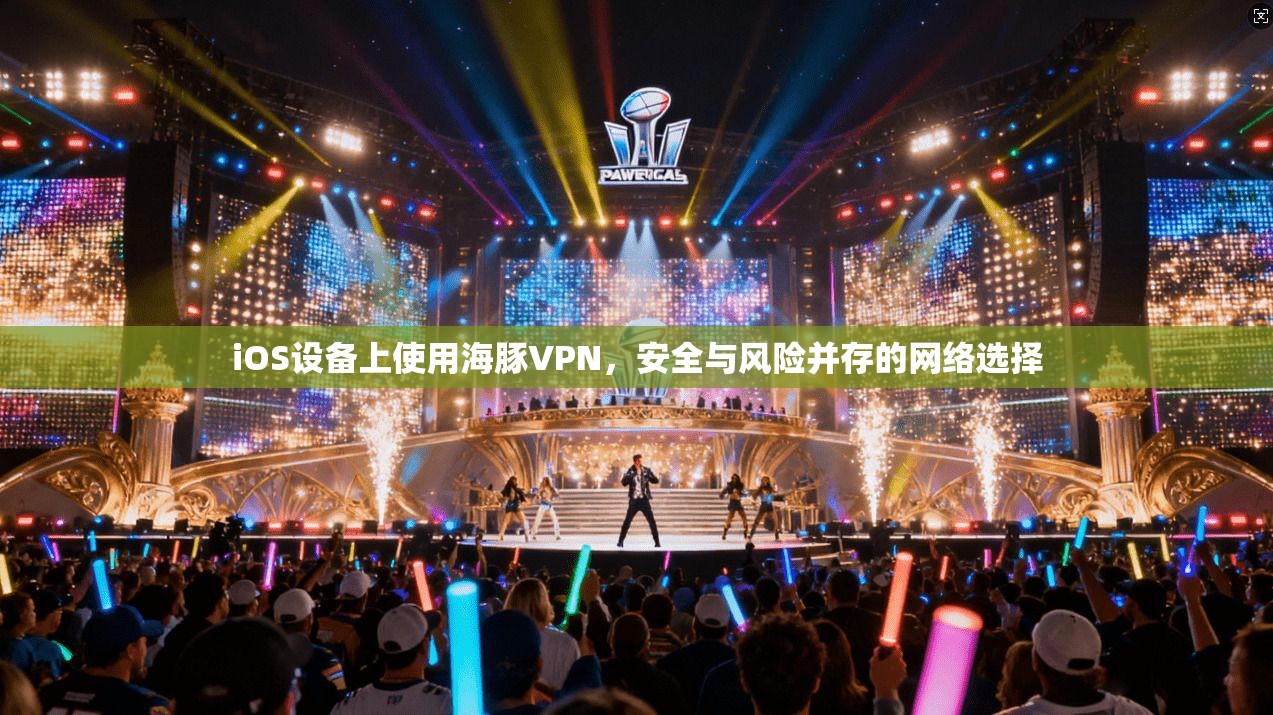 iOS设备上使用海豚VPN，安全与风险并存的网络选择