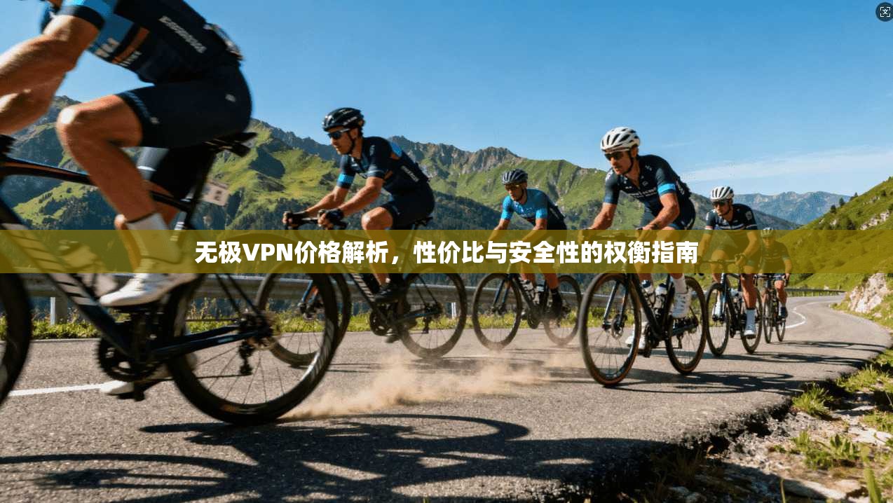 无极VPN价格解析，性价比与安全性的权衡指南