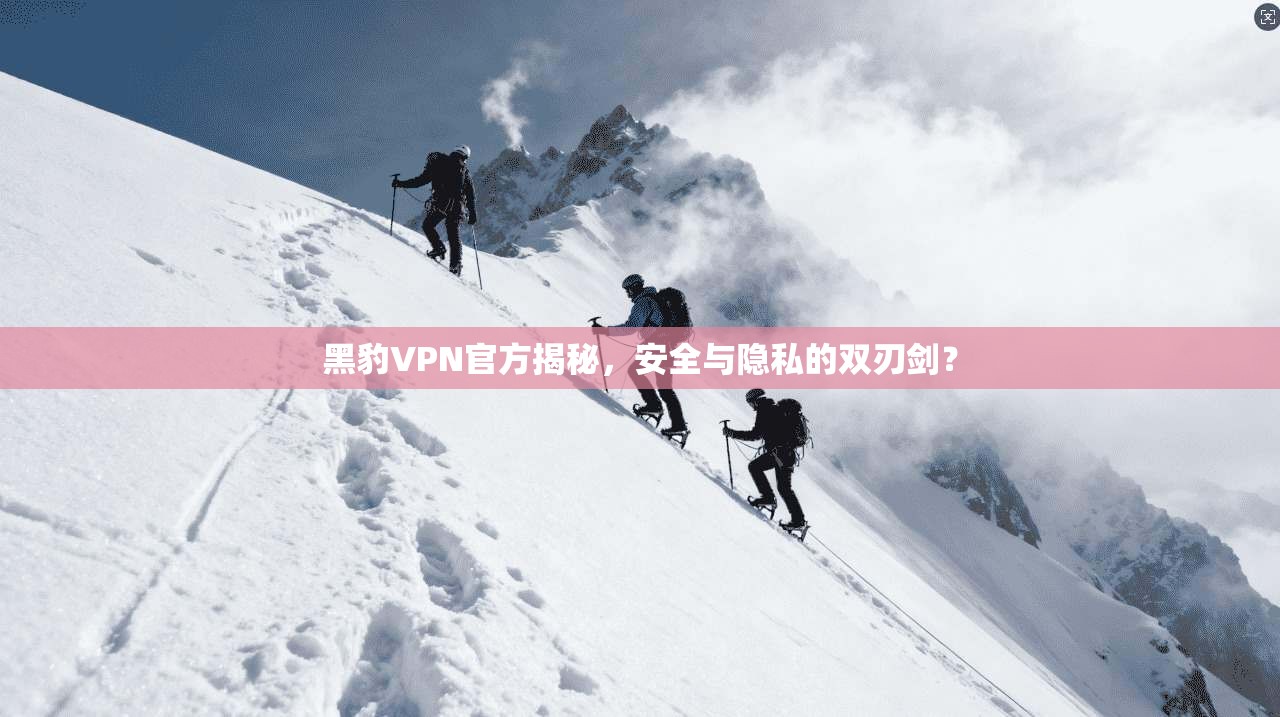 黑豹VPN官方揭秘，安全与隐私的双刃剑？