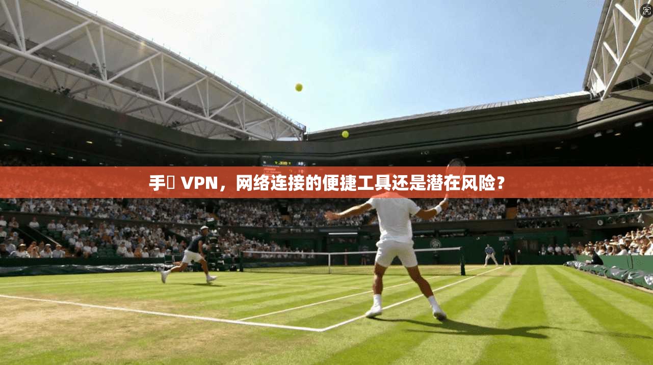 手檆 VPN，网络连接的便捷工具还是潜在风险？