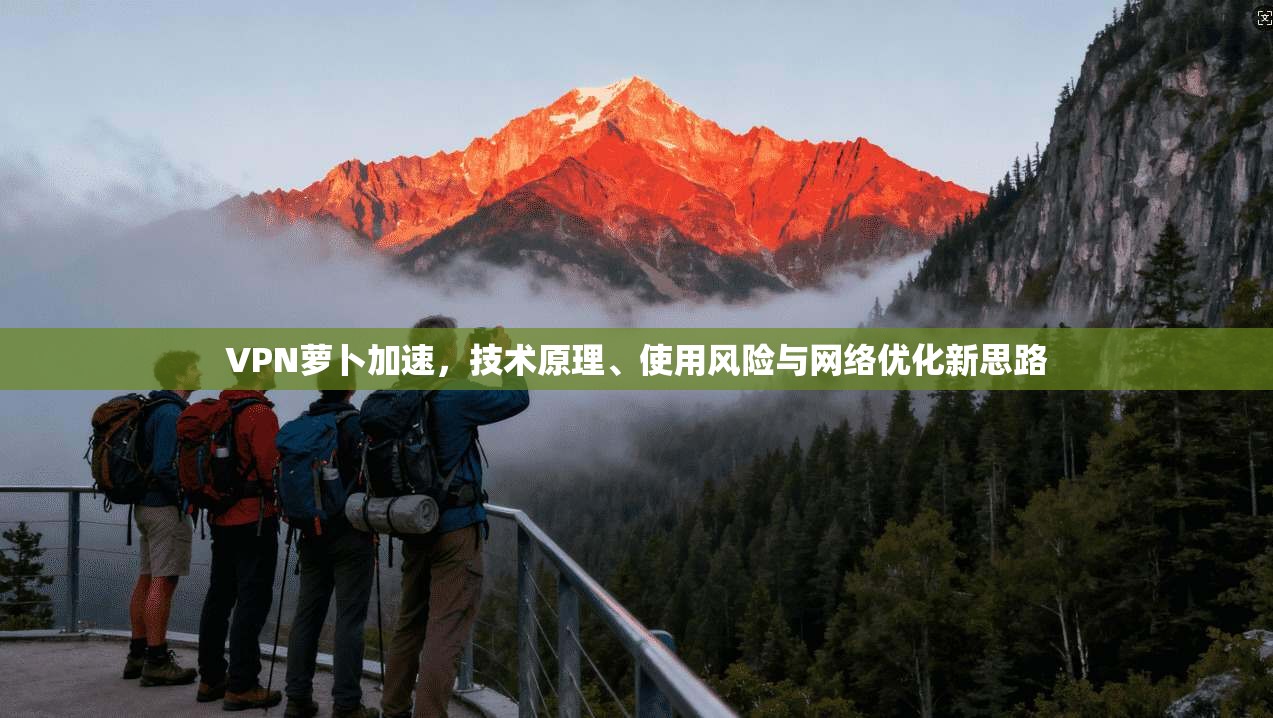 VPN萝卜加速，技术原理、使用风险与网络优化新思路