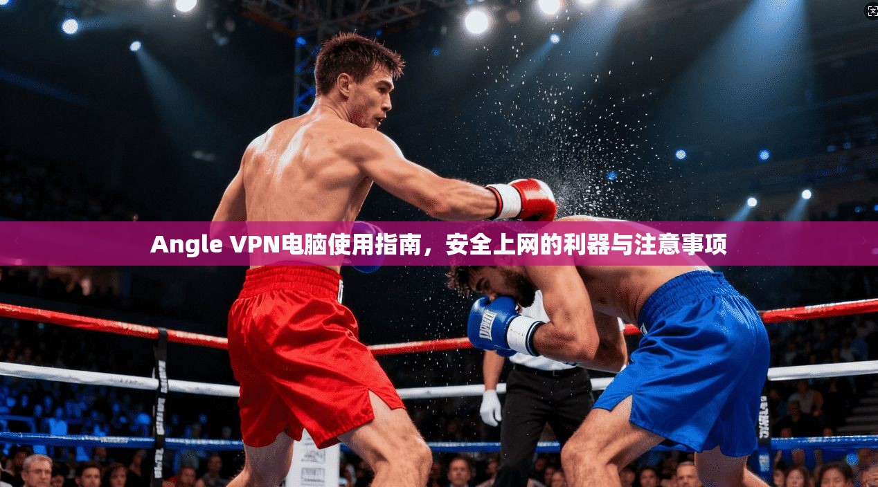Angle VPN电脑使用指南，安全上网的利器与注意事项
