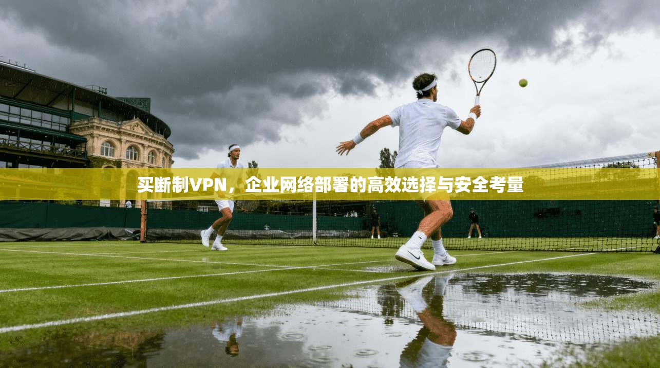 买断制VPN，企业网络部署的高效选择与安全考量