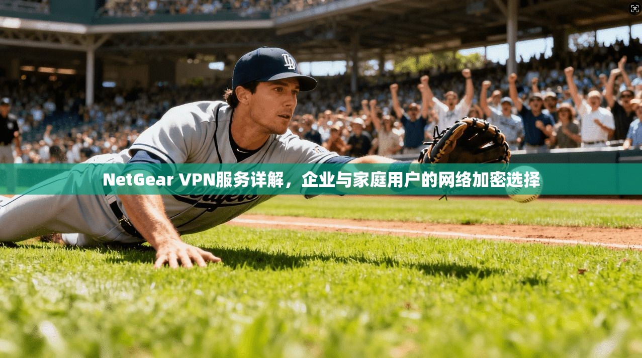 NetGear VPN服务详解，企业与家庭用户的网络加密选择