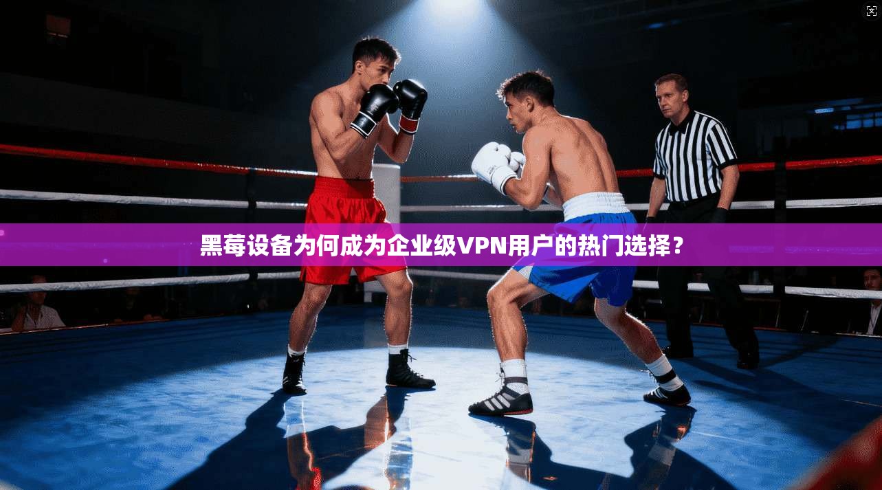黑莓设备为何成为企业级VPN用户的热门选择？