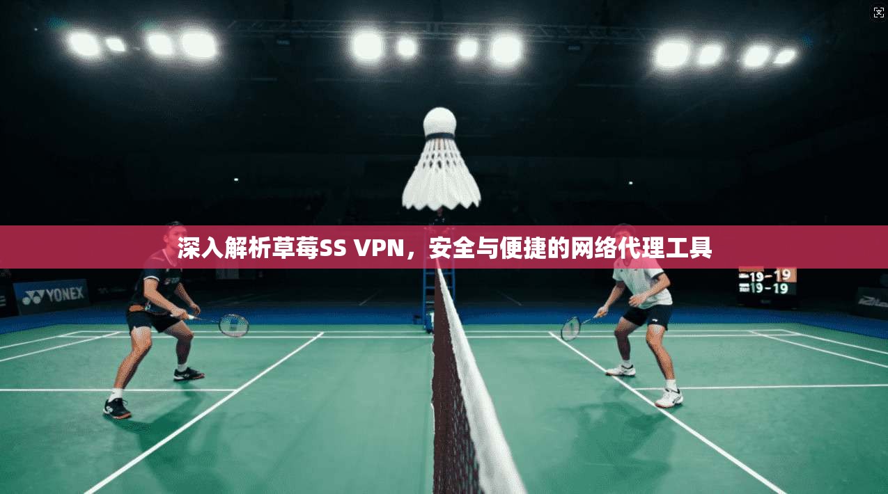 深入解析草莓SS VPN，安全与便捷的网络代理工具