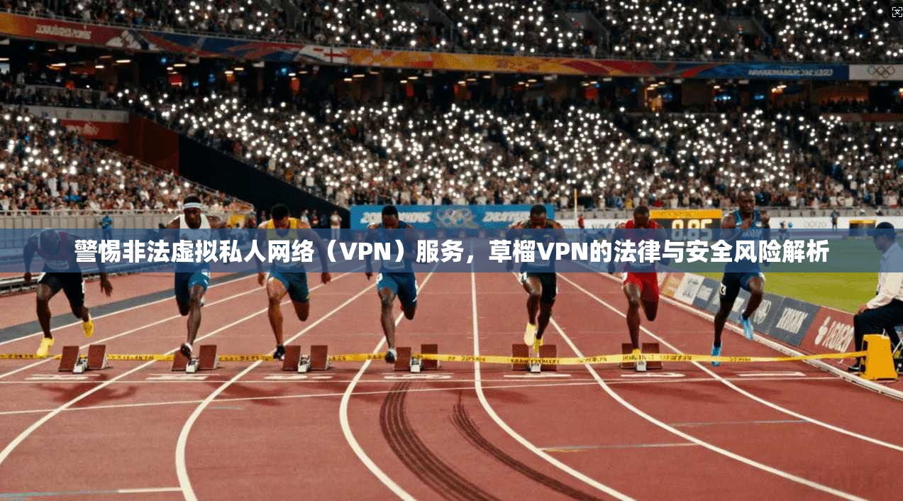 警惕非法虚拟私人网络（VPN）服务，草榴VPN的法律与安全风险解析